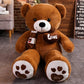 Huggable High Quality 4 Colors Teddy Bear With Scarf
