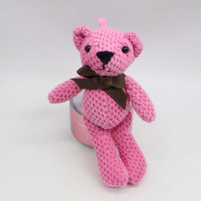 16cm Funny Mr Bean Stuffed & Plush Teddy Bear Keychain