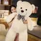 Teddy bear plush toy doll dumb