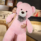 Teddy bear plush toy doll dumb