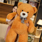 Teddy bear plush toy doll dumb
