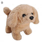 Electric Plush Simulation Display Mold Teddy Corgi Dog Rabbit