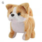 Electric Plush Simulation Display Mold Teddy Corgi Dog Rabbit