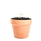 Clay Plant Pot